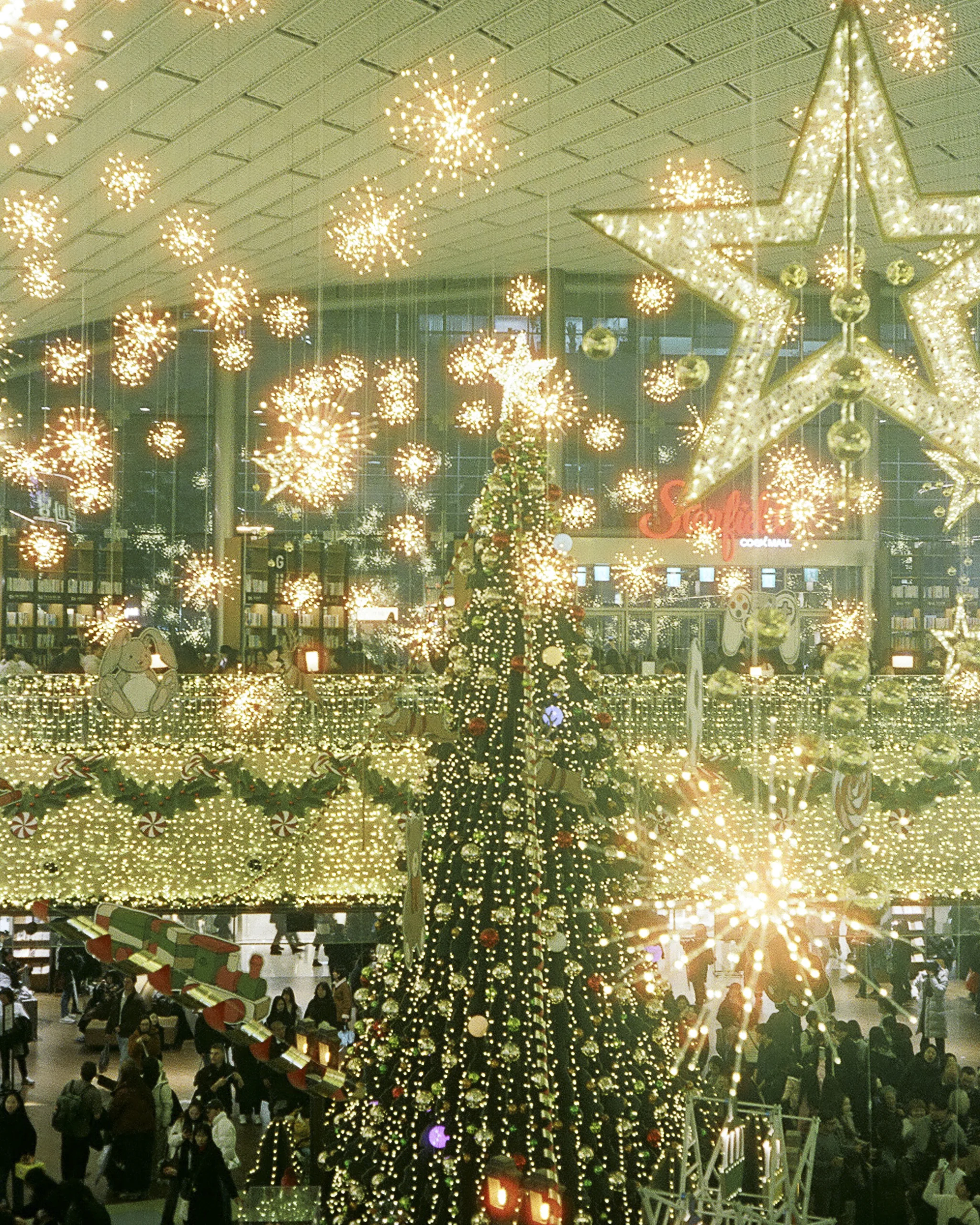 Film — photograph 6